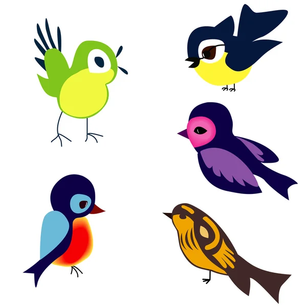 Aves — Vector de stock