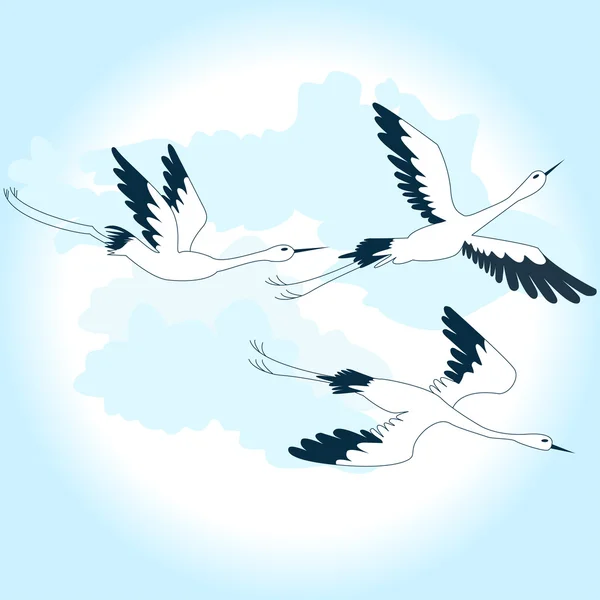 Birds in the sky — Stock Vector