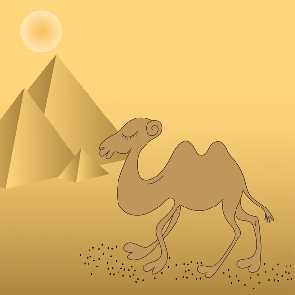 Camel — Stock Vector