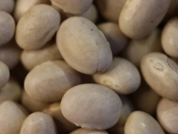 おいしい豆健康的な自然のマメ科植物が必要な背景 — ストック写真