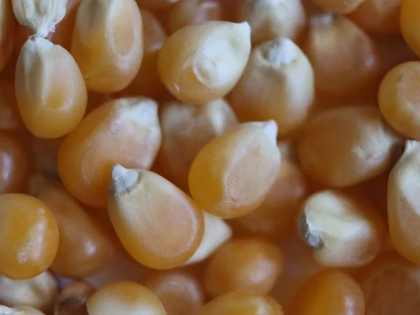 Delicioso Milho Natural Farinha Pipoca Grão Alimentos — Fotografia de Stock