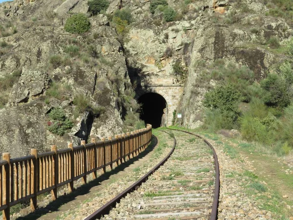 Demir yol, tünelin sonundaki demiryolu ışığını köprüye bağlıyor.