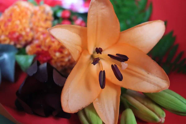 Красивый Цветок Мастер Природными Яркими Цветами Подарок Аромат — стоковое фото