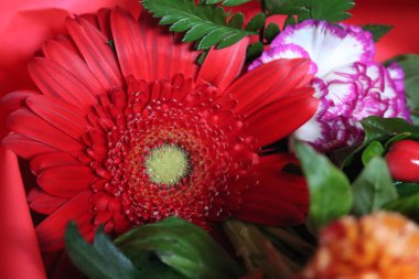 Doğal parlak renk aromalı güzel bir çiçek ustası