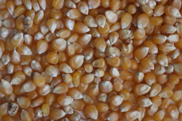 Enak Jagung Alami Popcorn Tepung Biji Bijian Makanan — Stok Foto