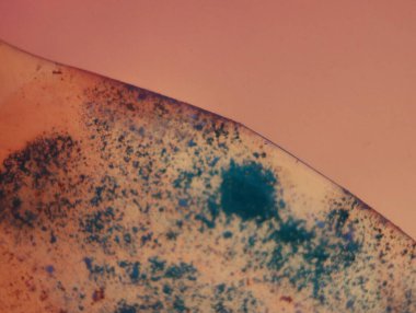 Soyut arka plan fantezi illüzyonu nadir görülen hayal gücü virüs bakteri hissi