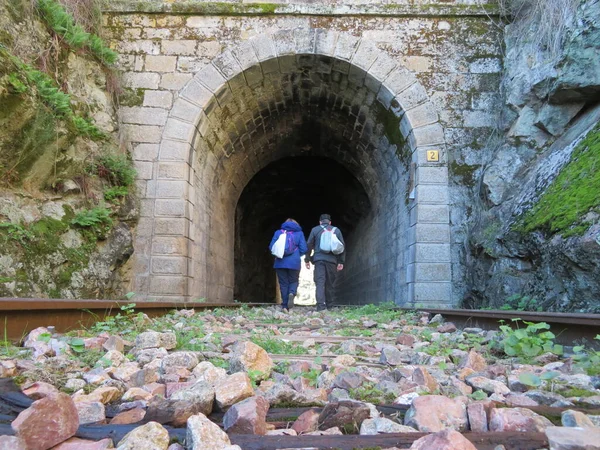 Demir Yol Tünelin Sonundaki Demiryolu Işığını Köprüye Bağlıyor — Stok fotoğraf