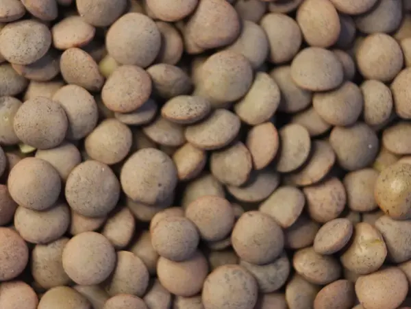 Kacang Yang Lezat Kacang Alami Yang Sehat Dibutuhkan Latar Belakang — Stok Foto