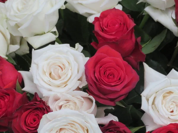 Schöne Natürliche Blumen Aromatische Frühlingsromantik Geschenk — Stockfoto