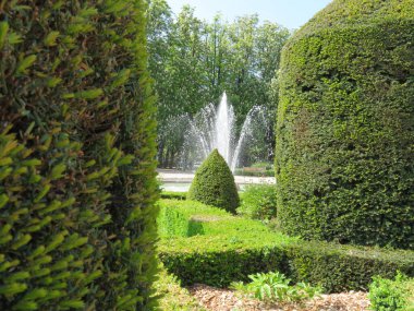 Çalıların olduğu güzel, bakımlı bahçeler.