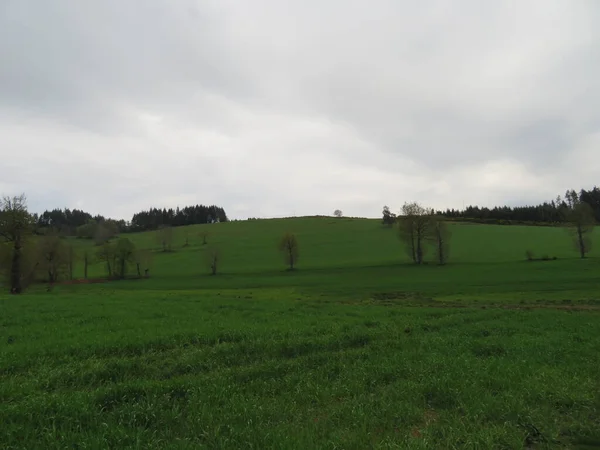 Krásná Krajina Přírodními Stromy Zelené Venkovské Pole — Stock fotografie