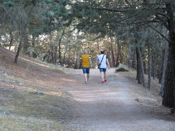 Όμορφη Μέρα Για Περπατήσετε Μέσα Από Δάσος Μονοπάτι Άσκηση Υγεία — Φωτογραφία Αρχείου