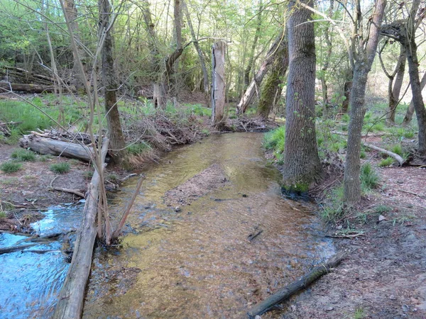 Bosque Naturaleza Paisaje Árboles Hierve Cascada Lugares — Foto de Stock