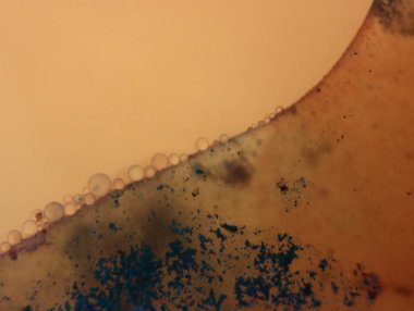 Soyut arka plan fantezi illüzyonu nadir görülen hayal gücü virüs bakteri hissi