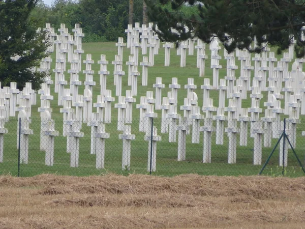 Cemitério Cheio Cruzes Militares Caiu Ordem Guerra — Fotografia de Stock