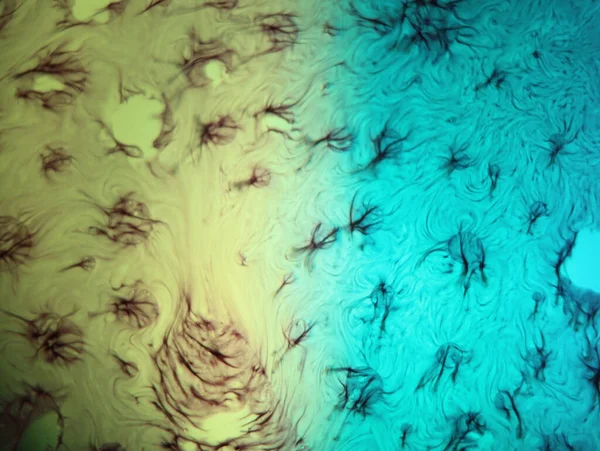 abstract background fantasy illusion rarity imagination virus bacteria sensation