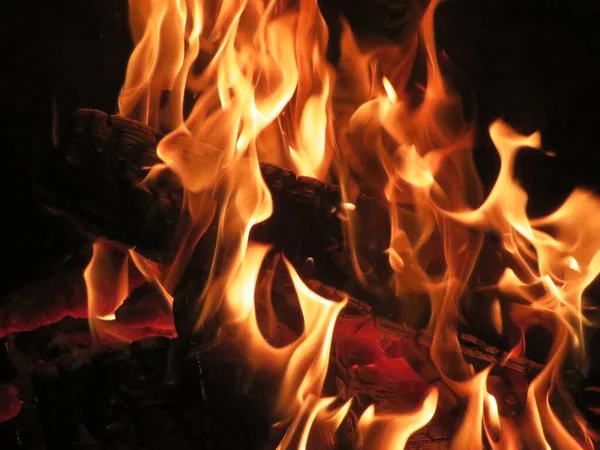 たき火熱熱炎白熱木の暖炉灰を燃やす — ストック写真