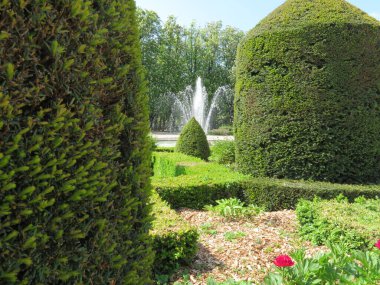 Çalıların olduğu güzel, bakımlı bahçeler.