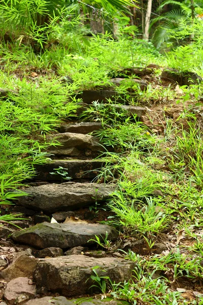 Pasarela de piedra — Foto de Stock