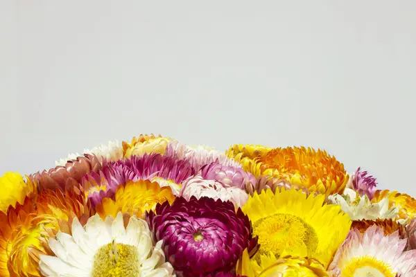 Солом'яні квітка — стокове фото