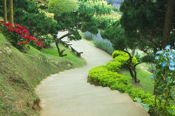 Paisagismo no jardim . — Fotografia de Stock