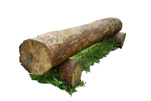 Log on the green grass — Stock Photo, Image