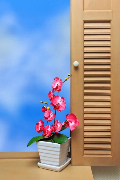 Flower & window — Stock Photo, Image
