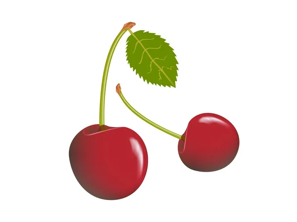 Kirsebær – stockvektor