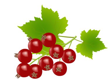 Redcurrants