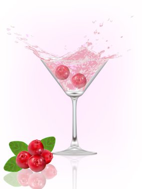 Kızılcık splash