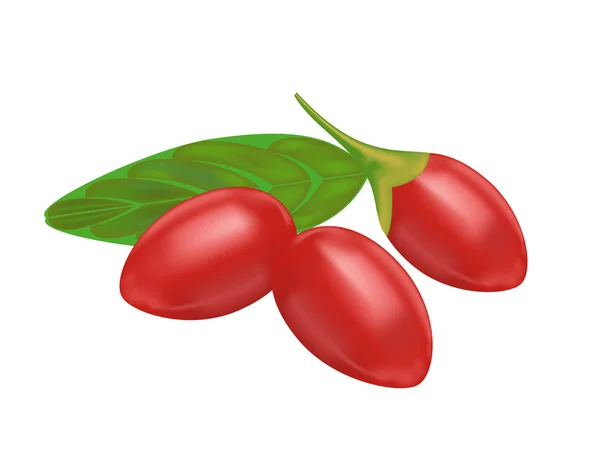 Goji berry — Stock Vector