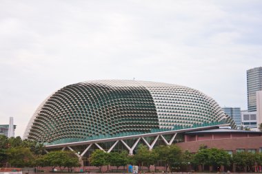 Singapur durian