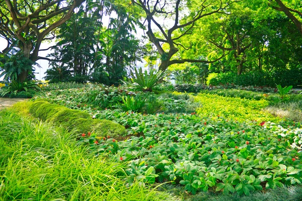 Güzel bahçe — Stok fotoğraf