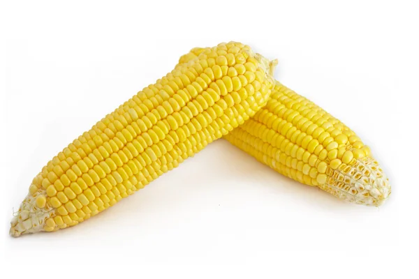 Corns on white — Stock Photo, Image