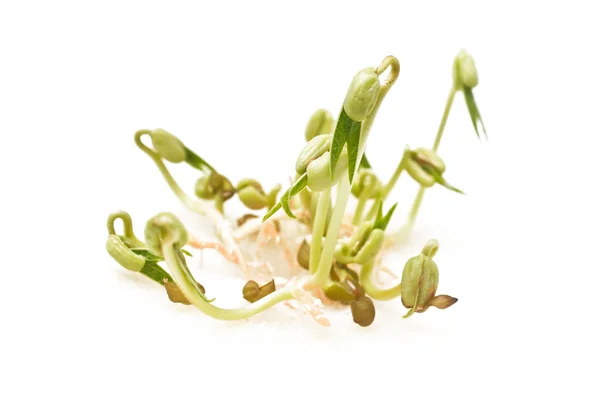 Sprouted mung beans — Stock Photo, Image