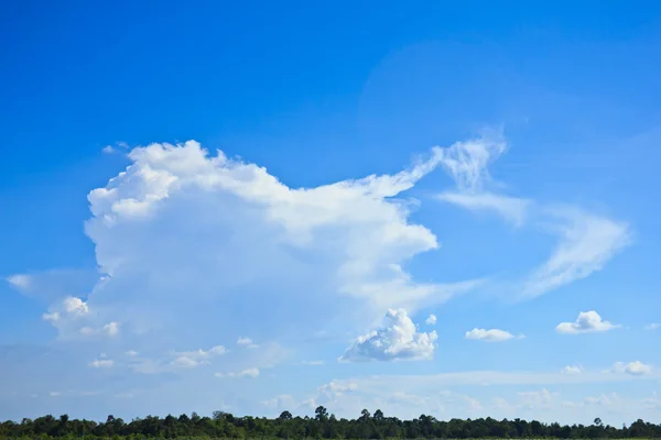 Green field and blue sky — Stock Photo, Image