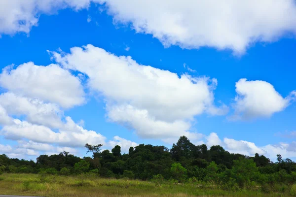 Green field and blue sky — Stock Photo, Image