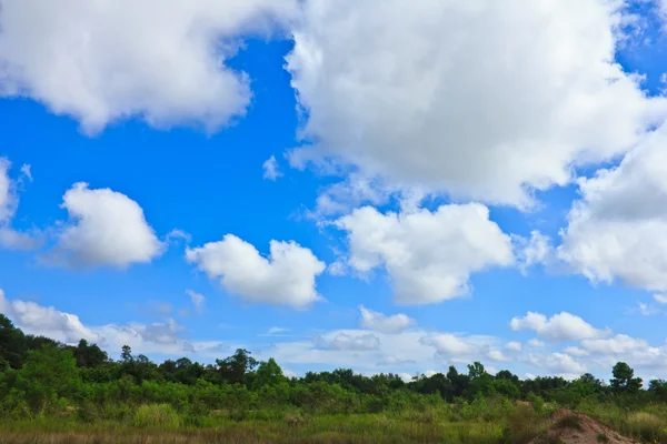 Green field and blue sky — Stock Photo, Image