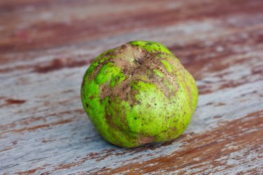 çirkin guava