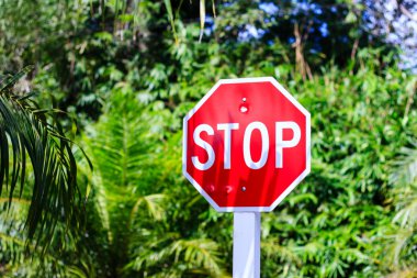 ağaçları ile kırmızı bir dur işareti