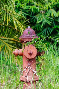 Kırmızı yangın musluğu