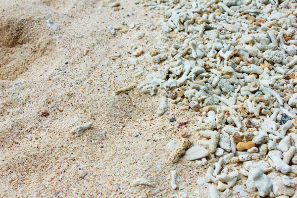 Coral sand — Stock Photo, Image