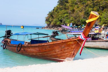 geleneksel uzun kuyruk tekneler