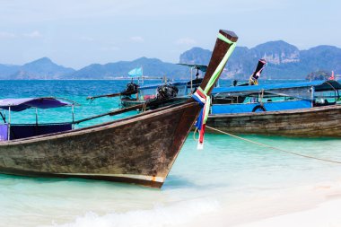 geleneksel uzun kuyruk tekneler