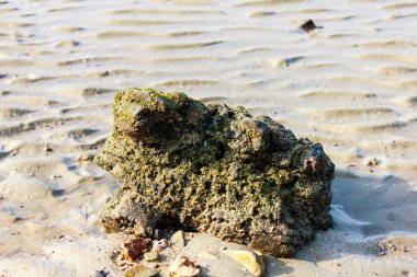 ıslak kum ve küçük taşlar