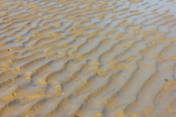 Wet sand — Stock Photo, Image