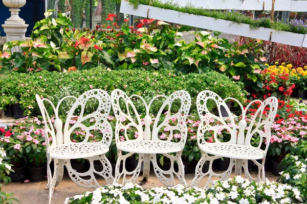 Bahçede beyaz sandalye — Stok fotoğraf