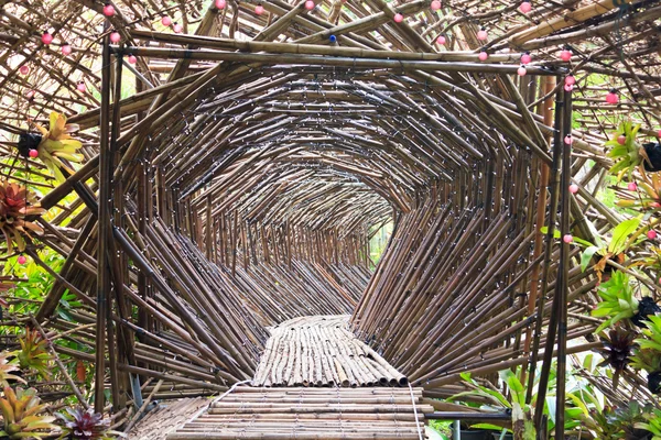 Bahçe bambu tünel. 