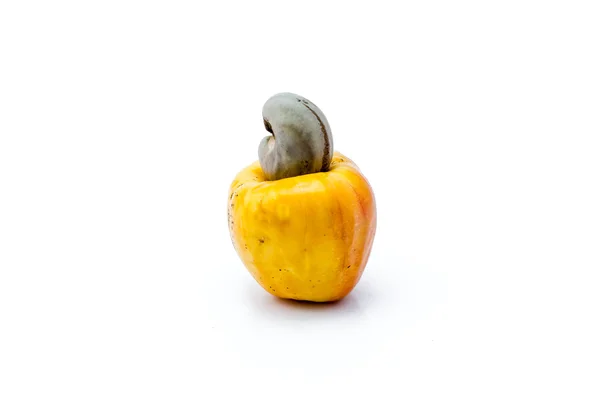 Fresh Cashew Nut — Stock Photo, Image