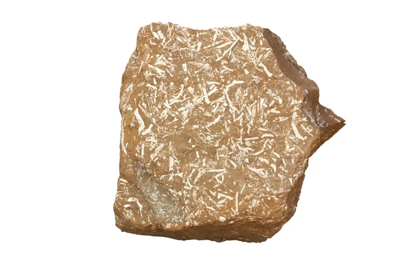 oil shale — 图库照片 #26352671